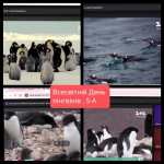 ��������� ���� �������