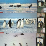 ��������� ���� �������