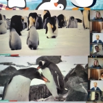 ��������� ���� �������