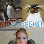 ��������� ���� �������