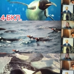 ��������� ���� �������