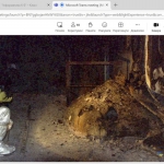 ���� ����� ��� ������� �� ������������� ���