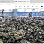 ���� ����� ��� ������� �� ������������� ���