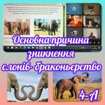 ���� ������� ������
